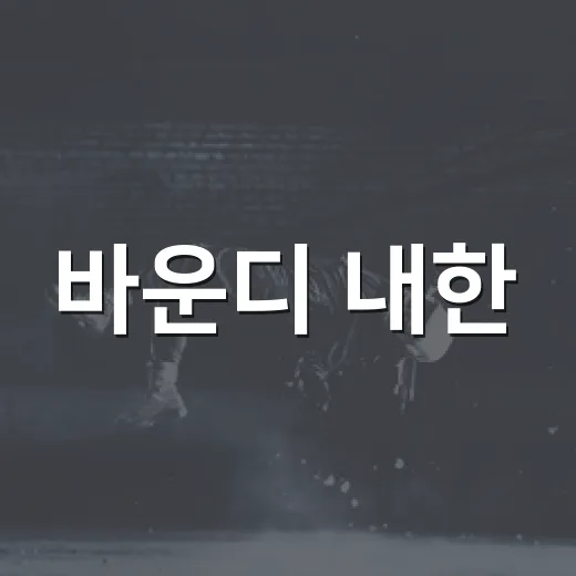 바운디 내한, 왜 벌써 예매표가 화제일까요? - 요약