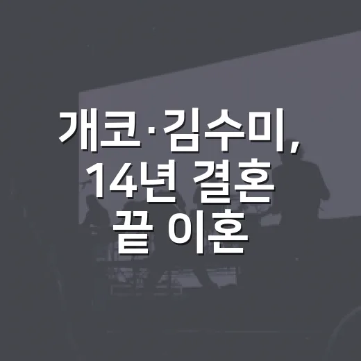 개코·김수미, 14년 결혼 끝 이혼 왜 조용히 알려졌을까요? - 요약
