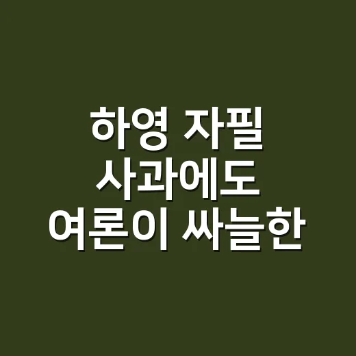 하영 자필 사과에도 여론이 싸늘한 이유가 궁금하신가요? - 요약