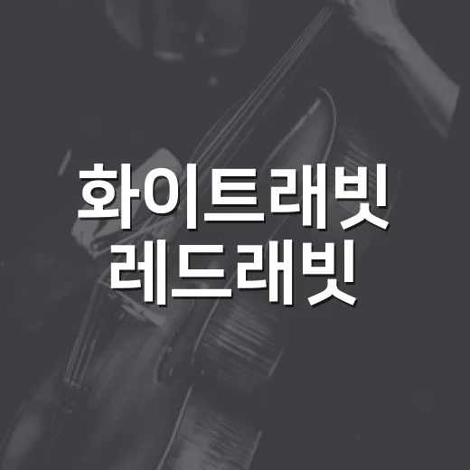 화이트래빗 레드래빗, 왜 배우 덕후들이 그렇게 반응했을까요? - 요약