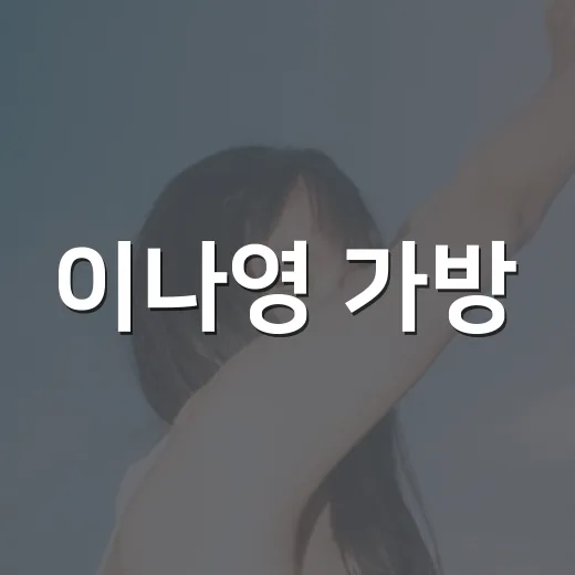 이나영 가방, 30만 원대부터 500만 원대까지 왜 계속 궁금하신가요? - 요약