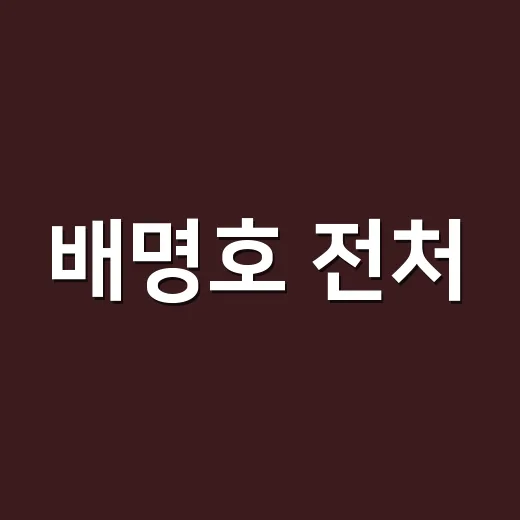 배명호 전처·양육비 미지급 법적 대응, 어디까지 확인됐나요? - 요약