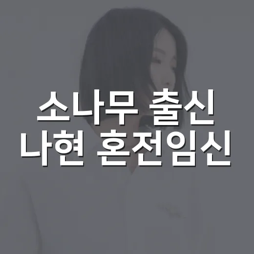 소나무 출신 나현 혼전임신, 결혼식은 왜 1년 뒤일까요? - 요약
