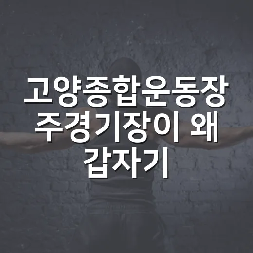 고양종합운동장 주경기장이 왜 갑자기 공연판 핫플이 됐을까요? - 요약