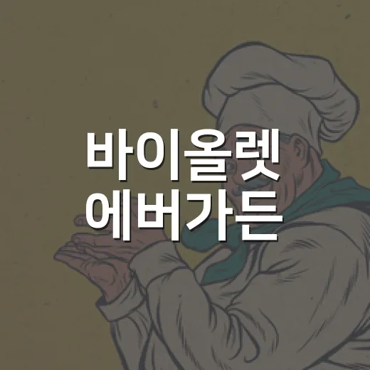 바이올렛 에버가든, 왜 아직도 인생 애니로 불릴까요? - 요약