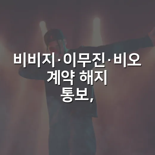 비비지·이무진·비오 계약 해지 통보, 왜 줄줄이 터졌을까요? - 요약