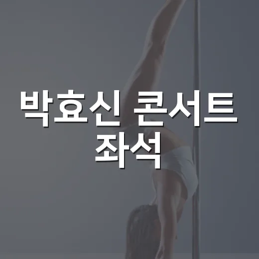 박효신 콘서트 좌석…