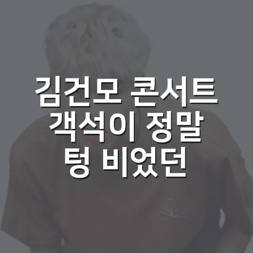 김건모 콘서트 객석이 정말 텅 비었던 걸까요? - 요약