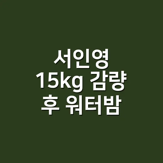 서인영 15kg 감량 후 워터밤 무대 복귀, 왜 이렇게 반응이 뜨거울까요? - 요약