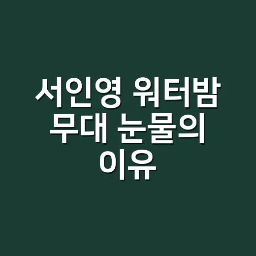 서인영 워터밤 무대 눈물의 이유, 진짜 무슨 일이 있었을까요? - 요약