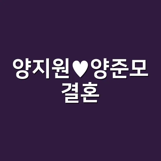 양지원♥양준모 결혼·혼전임신, 갑자기 왜 이렇게 화제일까요? - 요약