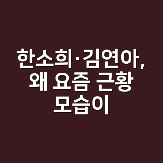 한소희·김연아, 왜 요즘 근황 모습이 더 달라 보일까요? - 요약