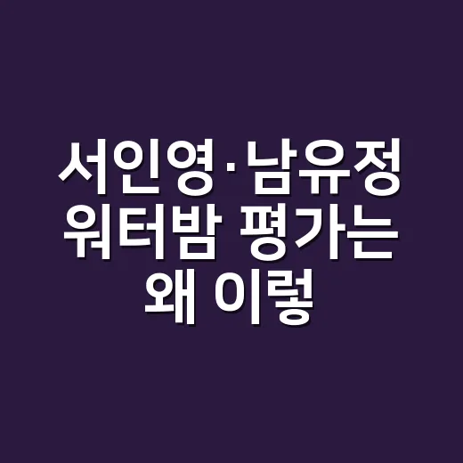 서인영·남유정 워터밤 평가는 왜 이렇게 엇갈렸을까요? - 요약