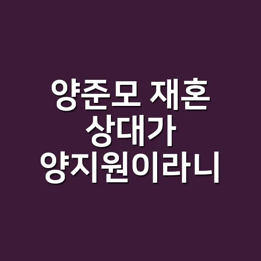 양준모 재혼 상대가 양지원이라니, 임신 소식까지 왜 화제일까요? - 요약