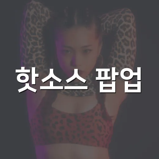 핫소스 팝업, 왜 팬들이 더현대에 몰렸을까요? - 요약