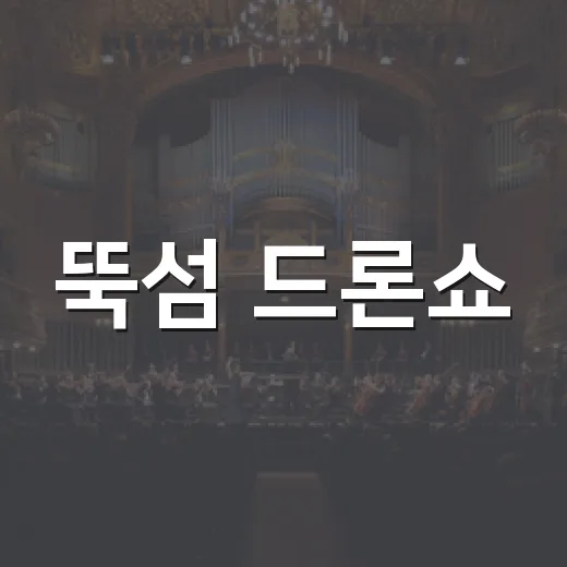 뚝섬 드론쇼, 올가을 언제 가야 제대로 볼 수 있을까요? - 요약
