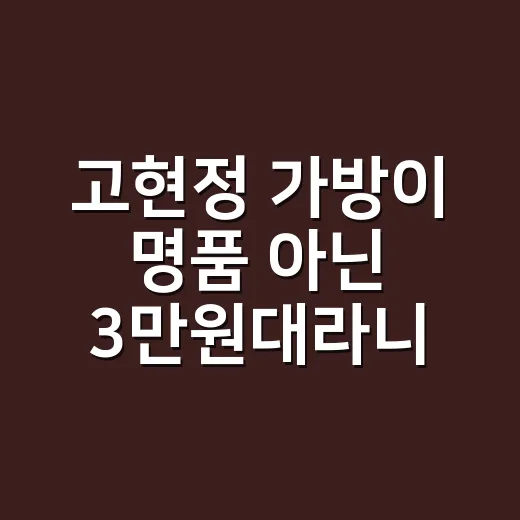 고현정 가방이 명품 아닌 3만원대라니, 반전 정체가 궁금하신가요? - 요약