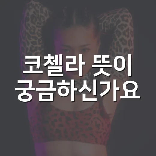코첼라 뜻이 궁금하신가요? K팝 무대 볼 때 알아두면 더 재밌는 포인트 - 요약