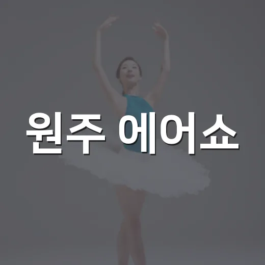 원주 에어쇼, 왜 블랙이글스 보러 이렇게 몰렸을까요? - 요약