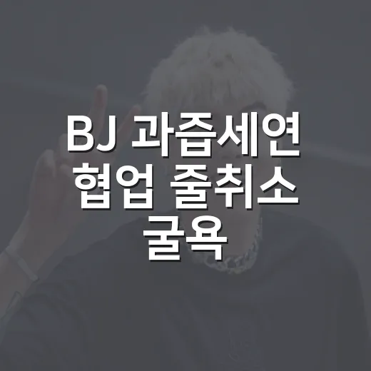 BJ 과즙세연 협업 줄취소 굴욕, 왜 브랜드들이 부담을 느꼈을까요? - 요약