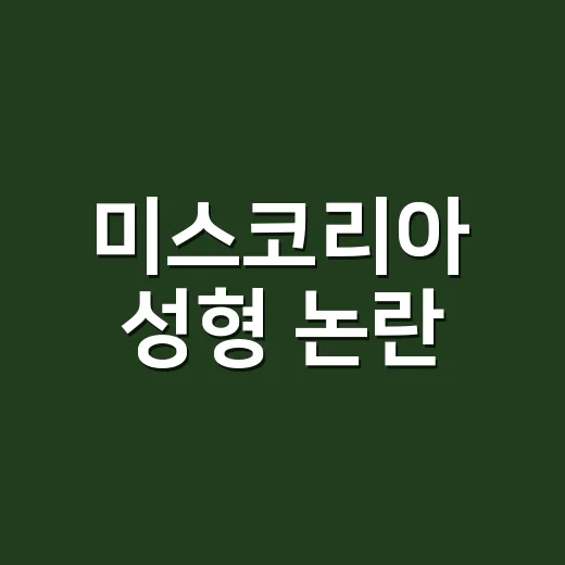 미스코리아 성형 논란, 선발 기준을 더 공개해야 할까요? - 요약