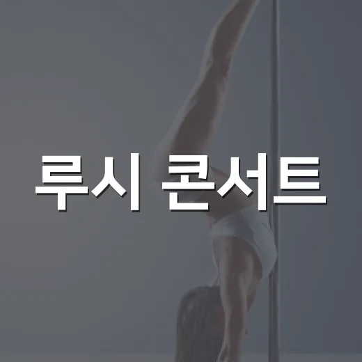 루시 콘서트, 서울 앙코르 왜 이렇게 빨리 체크해야 할까요? - 요약