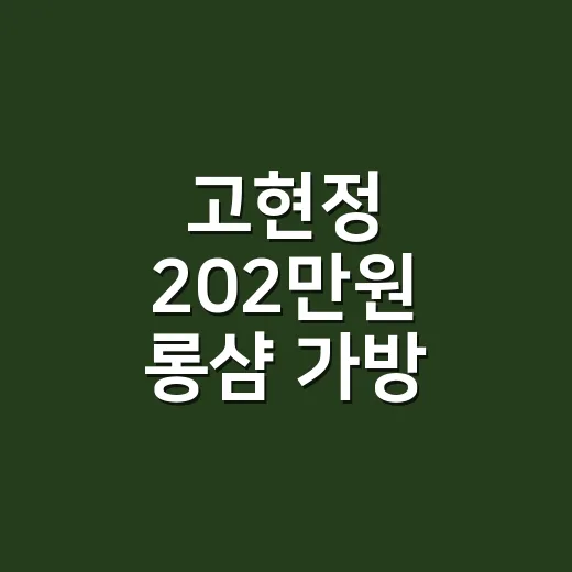 고현정 202만원 롱샴 가방 패션, 왜 조용히 난리일까요? - 요약