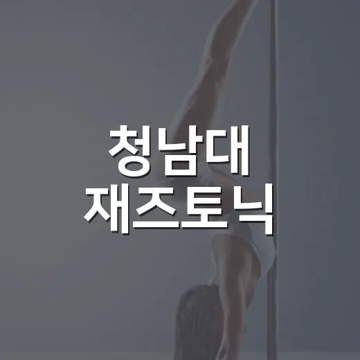 청남대 재즈토닉, 라인업보다 교통 이슈가 더 컸나요? - 요약