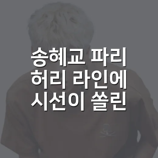 송혜교 파리 허리 라인에 시선이 쏠린 이유가 궁금하신가요? - 요약