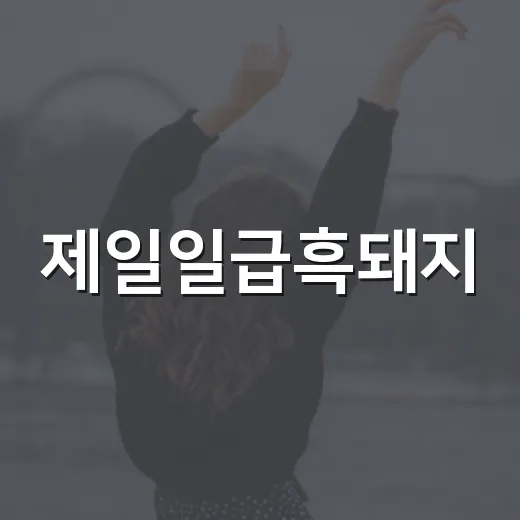 제일일급흑돼지, 꽃청춘 보고 다들 찾는 그곳이 맞나요? - 요약