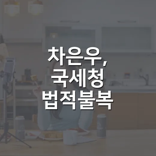차은우, 국세청 법적불복 선언이라고 봐도 될까요? - 요약