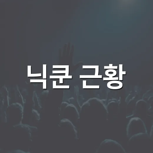 닉쿤 근황, 왜 다시 2PM 팬들 사이에서 화제일까요? - 요약