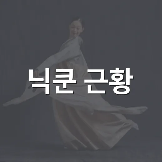 닉쿤 근황, 왜 다시 2PM 팬들 사이에서 화제일까요? - 요약