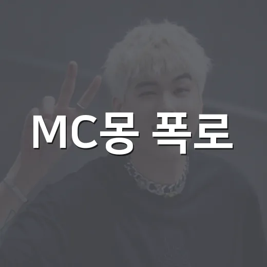 MC몽 폭로, 어디까지 확인됐을까요? - 요약