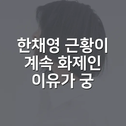 한채영 근황이 계속 화제인 이유가 궁금하신가요? - 요약