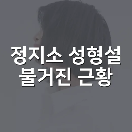 정지소 성형설 불거진 근황, 왜 이렇게 달라 보였을까요? - 요약
