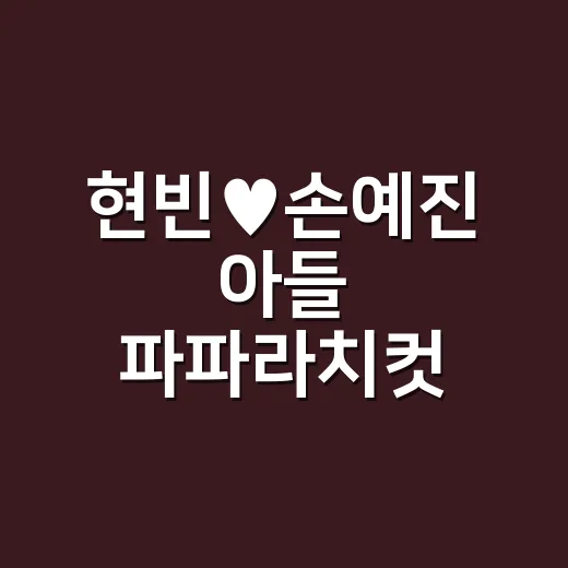 현빈♥손예진 아들 파파라치컷, 왜 이렇게 화제일까요? - 요약