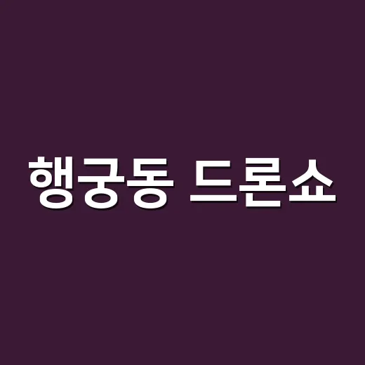 행궁동 드론쇼, 1,230대가 왜 그렇게 화제였을까요? - 요약