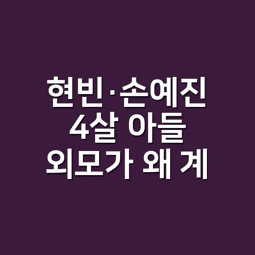 현빈·손예진 4살 아들 외모가 왜 계속 화제일까요? - 요약