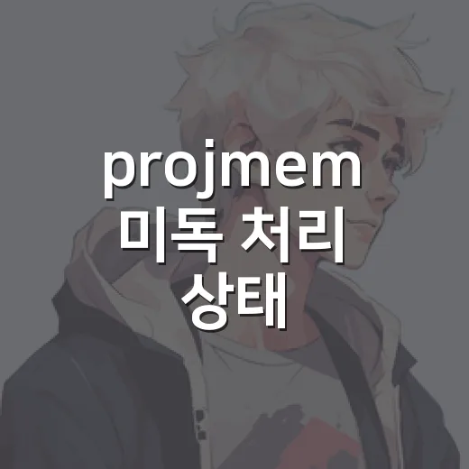 projmem 미독 처리 상태 - 요약
