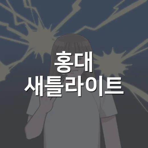 홍대 새틀라이트, 왜 덕후들 사이에서 계속 뜨고 있나요? - 요약