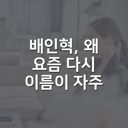 배인혁, 왜 요즘 다시 이름이 자주 보일까요? - 요약