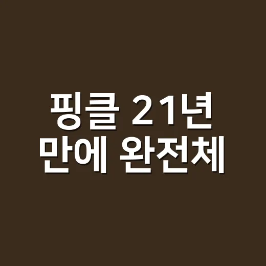 핑클 21년 만에 완전체, 이번엔 얼마나 오래 볼 수 있을까요? - 요약