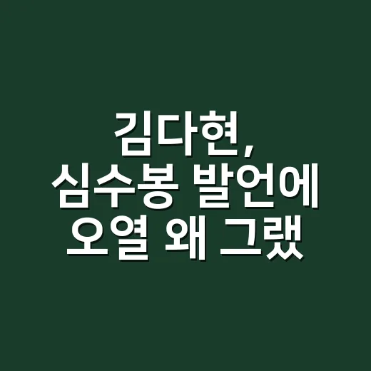 김다현, 심수봉 발언에 오열 왜 그랬을까요? - 요약