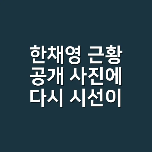한채영 근황 공개 사진에 다시 시선이 쏠린 이유는 뭘까요? - 요약