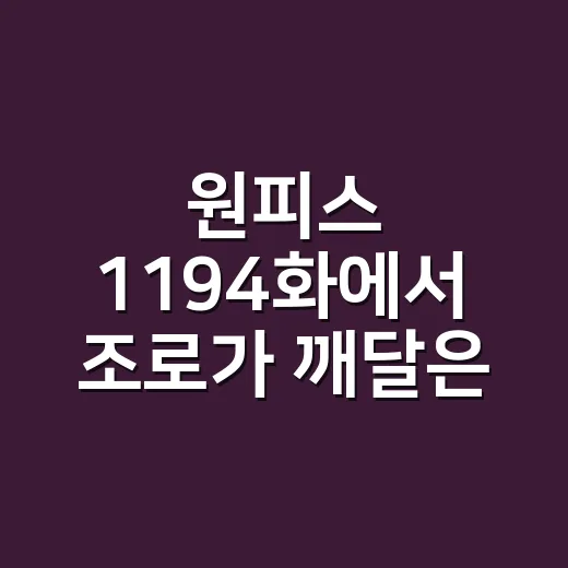 원피스 1194화에서 조로가 깨달은 힘은 뭘까요? - 요약