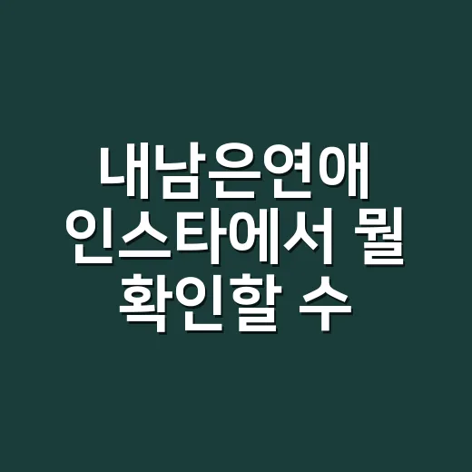 내남은연애 인스타에서 뭘 확인할 수 있을까요? - 요약