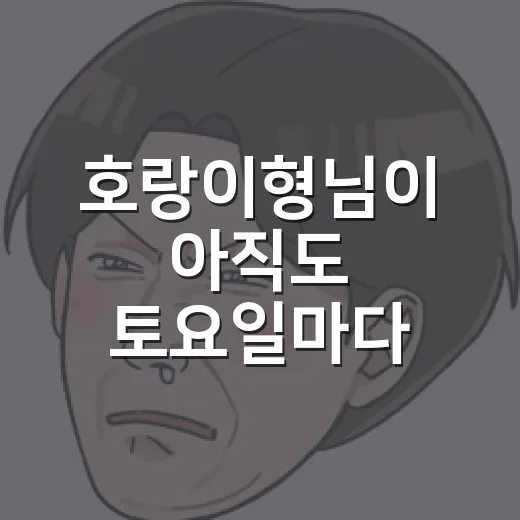 호랑이형님이 아직도 토요일마다 화제인 이유는 뭘까요? - 요약