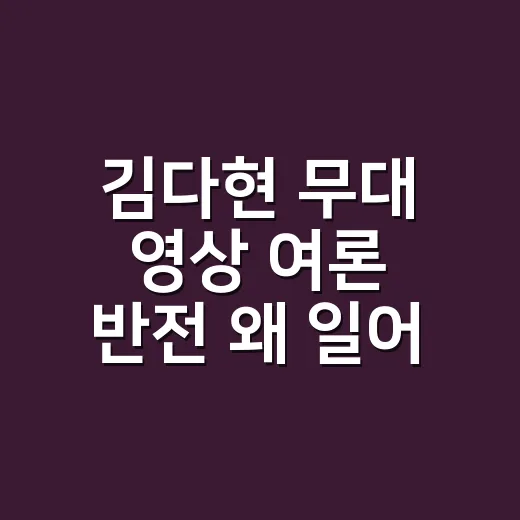 김다현 무대 영상 여론 반전 왜 일어났을까요? - 요약