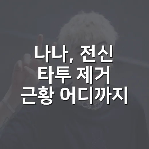 나나, 전신 타투 제거 근황 어디까지 왔을까요? - 요약